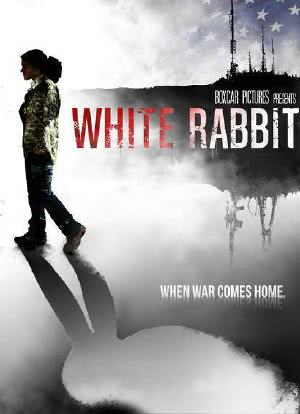 White Rabbit海报封面图
