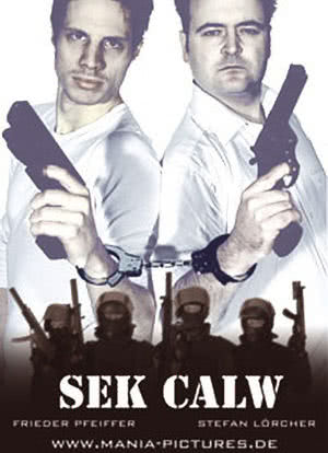 SEK Calw海报封面图