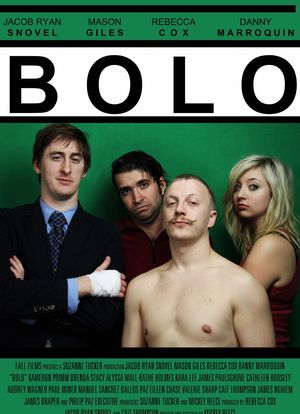 Bolo海报封面图