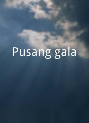 Pusang gala海报封面图