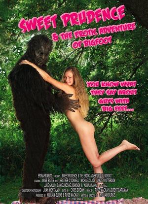 甜谨慎和大脚的性爱冒险海报封面图