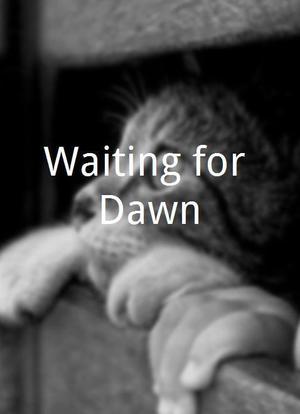 Waiting for Dawn海报封面图