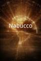 Nazzareno Antinori Nabucco