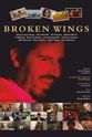 Kevin Bisbangian Broken Wings