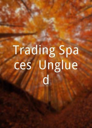 Trading Spaces: Unglued海报封面图