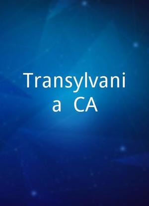 Transylvania, CA海报封面图