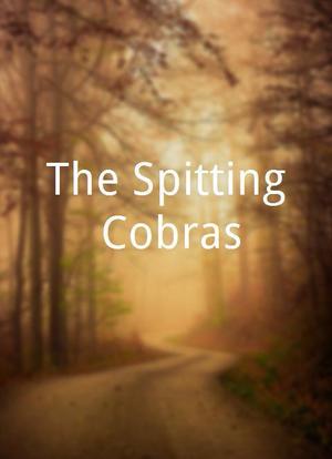 The Spitting Cobras海报封面图