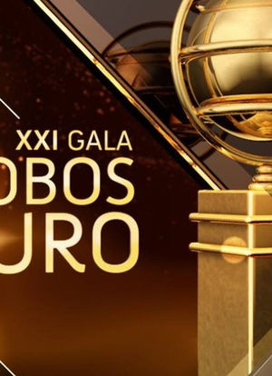 Globos de Ouro 2015海报封面图
