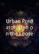 Urban Predator: Lion on the Loose