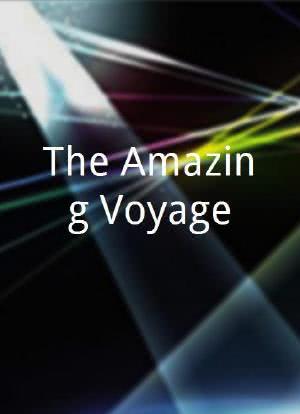 The Amazing Voyage海报封面图