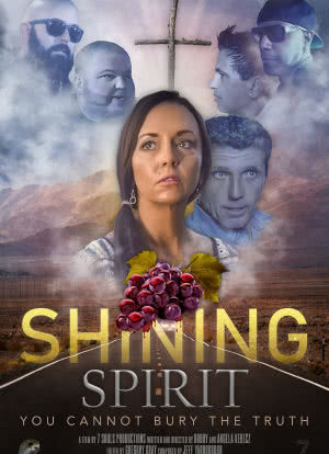 Shining Spirit海报封面图