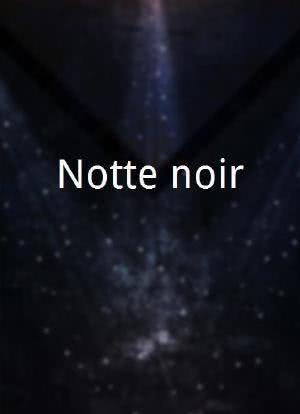 Notte noir海报封面图