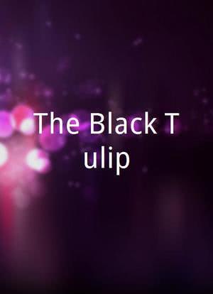 The Black Tulip海报封面图