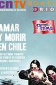 Pablo Teillier Amar y morir en Chile