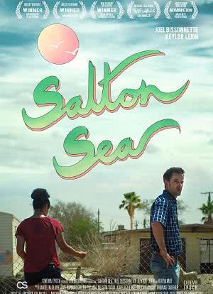 Salton Sea海报封面图