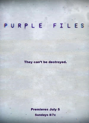 Purple Files海报封面图