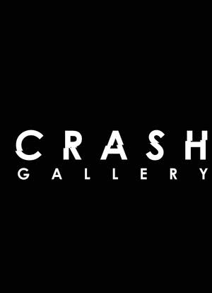 Crash Gallery海报封面图
