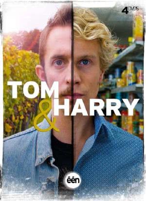 Tom & Harry海报封面图