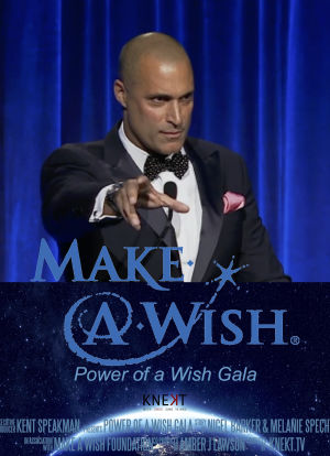 Make a Wish Foundation Power of a Wish Gala Live from Cipriani Wall Street海报封面图