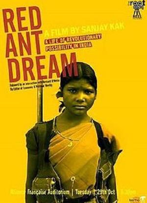 Red Ant Dream海报封面图