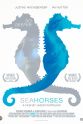 格里芬·凯霍 Seahorses