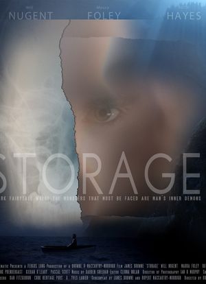 Storage海报封面图