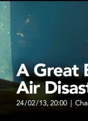 A Great British Air Disaster海报封面图