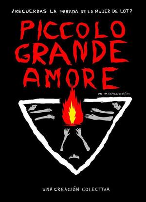 Piccolo Grande Amore海报封面图
