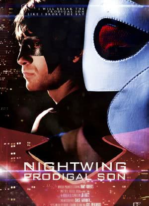 Nightwing: Prodigal Son海报封面图