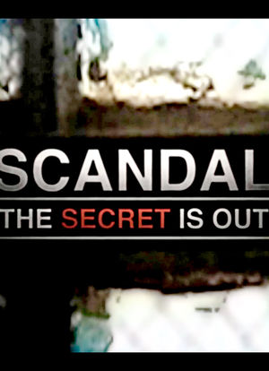 Scandal: The Secret Is Out海报封面图