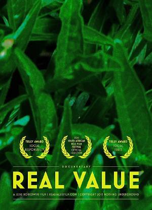 Real Value海报封面图