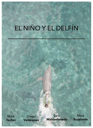 El Niño y El Delfín海报封面图
