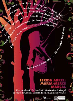 Ferida arrel: Maria-Mercè Marçal海报封面图