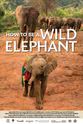 Kelly A. Morris How to Be a Wild Elephant
