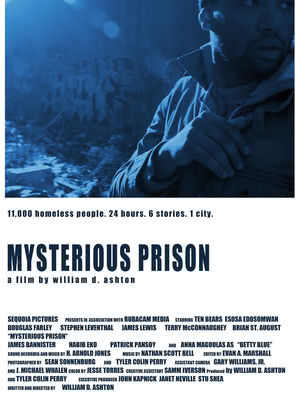 Mysterious Prison海报封面图
