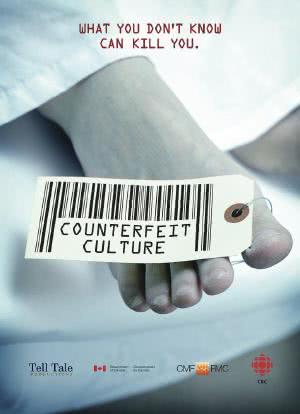 Counterfeit Culture海报封面图