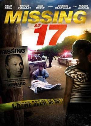 失踪在17岁海报封面图