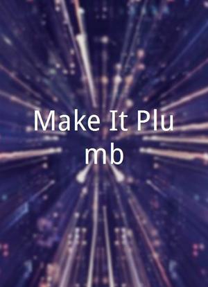 Make It Plumb海报封面图
