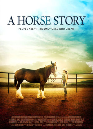 马的故事海报封面图