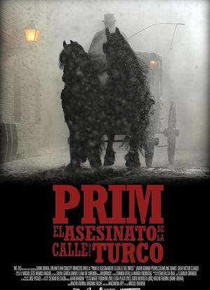 Prim, el asesinato de la calle del Turco Season 1海报封面图