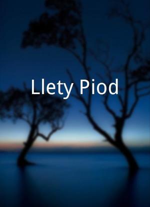 Llety Piod海报封面图