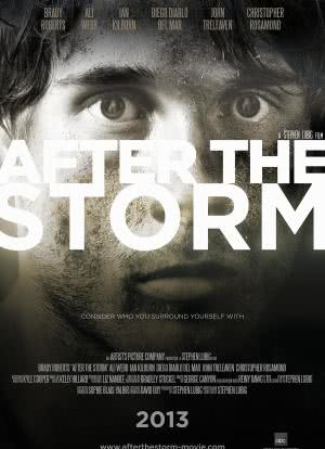 After the Storm海报封面图