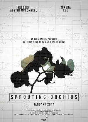 Sprouting Orchids海报封面图