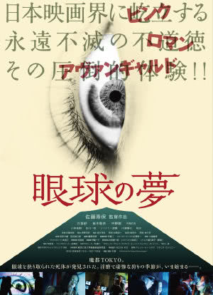 眼球的梦海报封面图