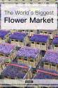 Edwina Silver 世界上最大的鲜花市场