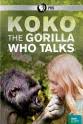 Koko 科科：与人类交谈的大猩猩