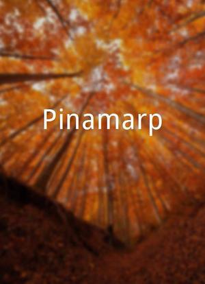 Pinamarp海报封面图