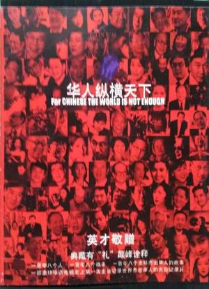 华人纵横天下海报封面图