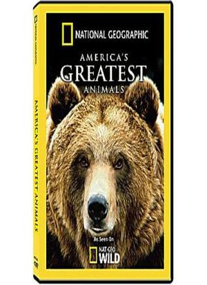 美洲伟大的动物海报封面图
