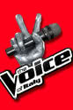 Marco Castoldi The Voice of Italy
